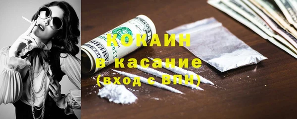 прущие грибы Новодвинск